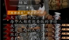 最新娱乐圈爆料文案大全,揭秘明星背后的秘密与真相